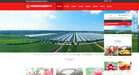 企業(yè)網(wǎng)站、程序軟件App解決方案